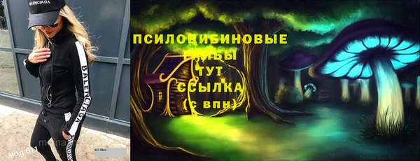стафф Карпинск