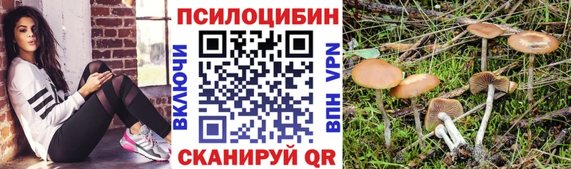 Псилоцибиновые грибы мицелий  Купить где  Нытва 